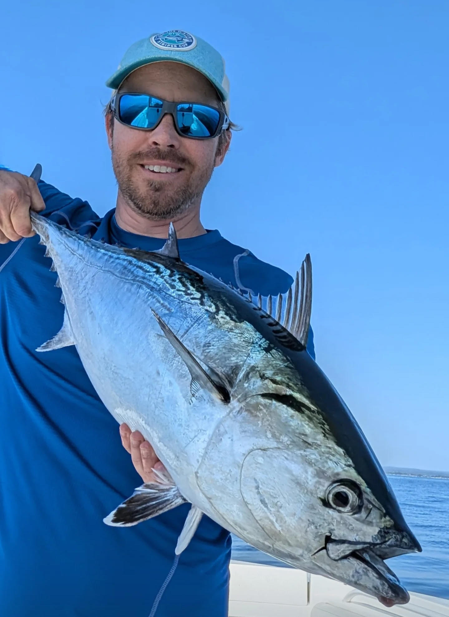 False Albacore